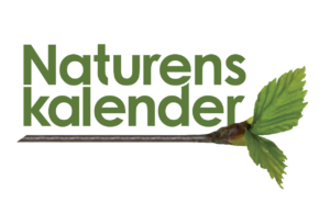 Logotyp Naturens kalender.