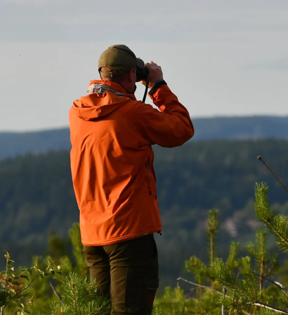 En person klädd i orange friluftsjacka och grön keps står bland tallbuskar och blickar genom en kikare ut över ett vidsträckt, skogsklätt landskap.